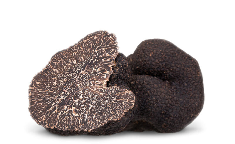 Black Truffle Melanosporum